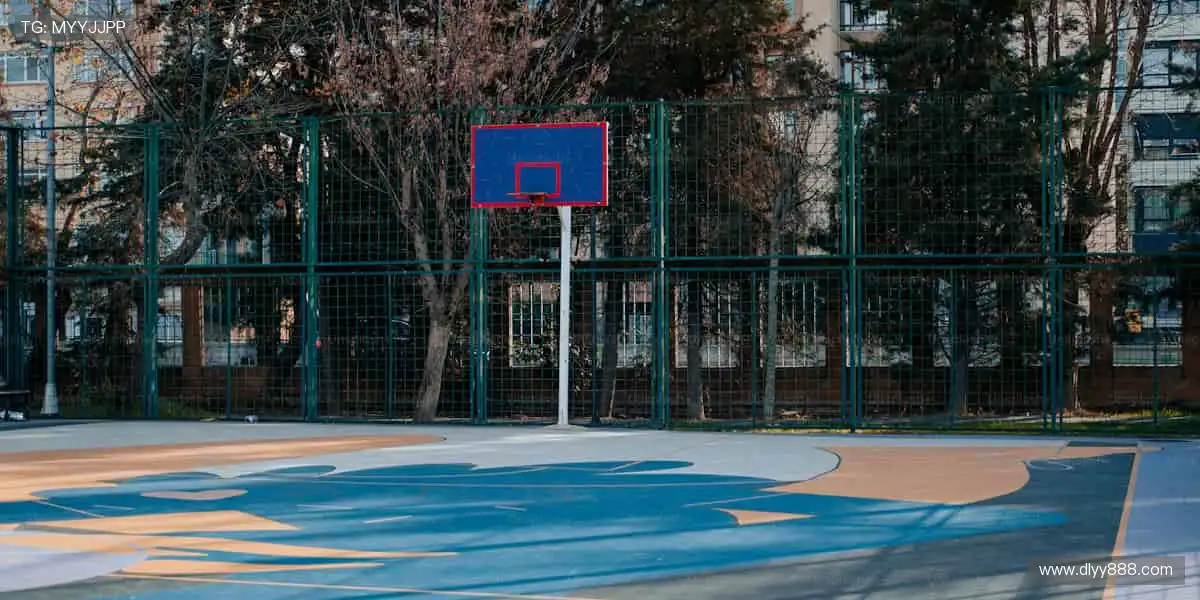 📱零时差直击赛场,直播让你与热爱同频共振!